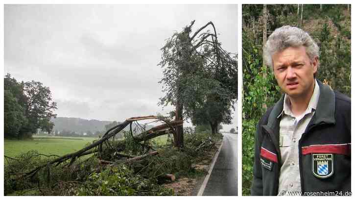 Hunderte entwurzelte Bäume: Rund um Taching teils verheerende Waldschäden