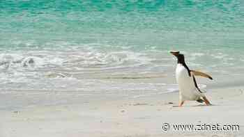 KDE Plasma's KRunner is a handy tool: How and why you should be using it