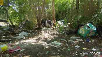 Why community leaders say Saskatoon needs standalone facility for homeless people