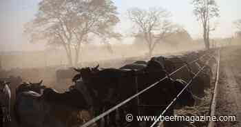 Brazil’s Minerva purchasing Marfrig beef processing assets for $1.5b