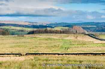 Peatland restoration schemes in Lancashire get cash boost
