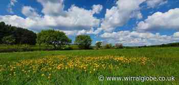 Teen robbed at knifepoint while riding bike through Storeton Woods