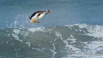 Linux 6.5 kernel arrives with exciting new features