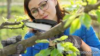 Walmart slashed the price of this mini chainsaw by 81% for Labor Day