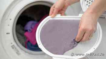 Das sollten Sie beim Reinigen des Flusensiebs Ihres Trockners unbedingt beachten