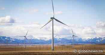 Some communities oppose Alberta’s 6 month pause on renewable energy approvals