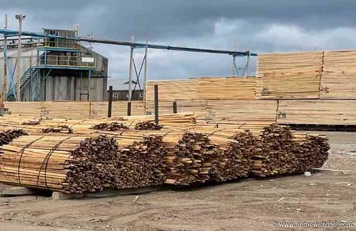 The Future of Lumber Prices in Canada: A Look Ahead
