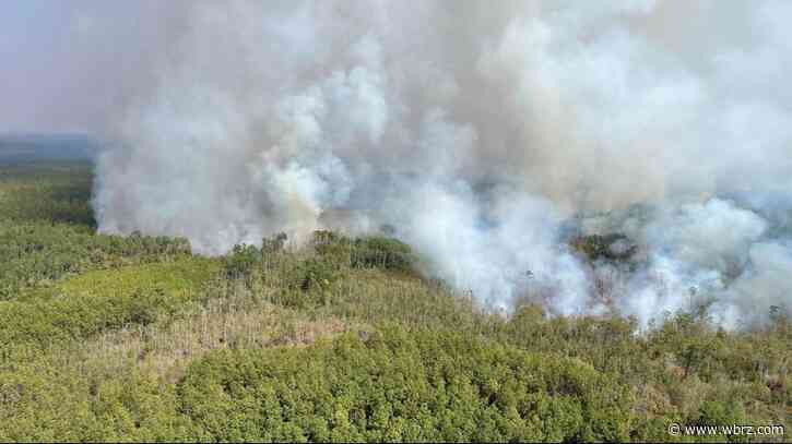 More than 33K acres burned in historic Tiger Island wildfire