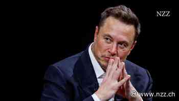 DIE NEUSTEN ENTWICKLUNGEN - Twitter: Elon Musks Plattform X lässt wieder politische Werbung zu