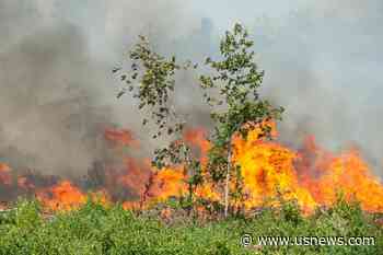 Louisiana Plagued by Unprecedented Wildfires, as Largest Active Blaze Grows