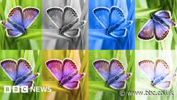 Google tests watermark to identify AI images