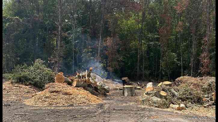 Despite strict ban, burning persists at property linked to WBR Parish president and his family