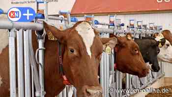 Vor Norla  in Rendsburg: Schleswig-Holsteins Bauern fordern Perspektive
