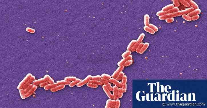 E coli outbreak at University of Arkansas sends five students to hospital