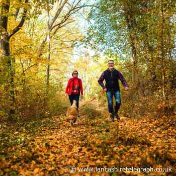 MARTIN FURBER: Autumn walks can de-stress us all