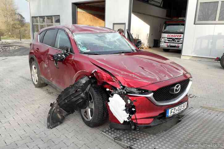 'Tien procent geïmporteerde auto's heeft ooit schade gehad'