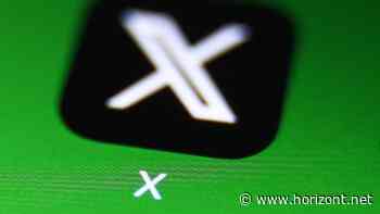 US-Wahlkampf: Musks X-Plattform lässt wieder politische Werbung zu