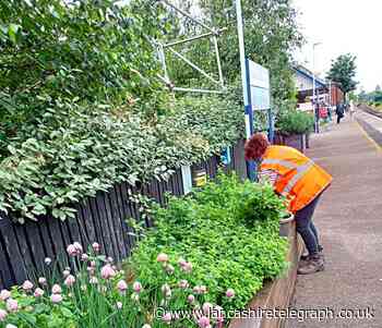 Could you help care for Burnley and Blackburn stations?