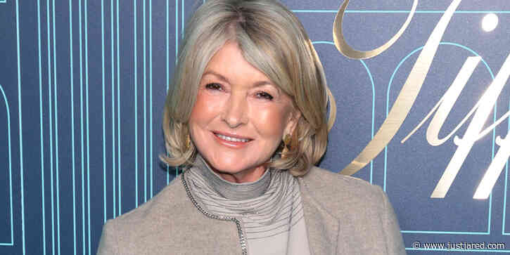 Martha Stewart Called Out By Fans For 'Capturing' An Iceberg For Cruise Cocktails