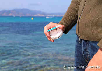 Rauchalternativen Snus und Nikotin-Pouches: Was steckt dahinter?