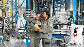 Autoren eines Anlegerbriefs greifen gleich bei drei Aktien aus der Schweiz «ins fallende Messer»