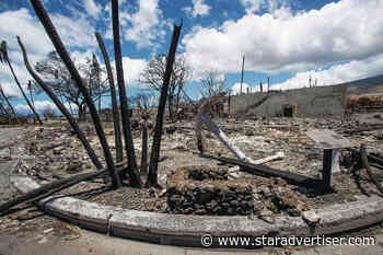 Hawaiian Electric disputes barrage of criticism, accusations