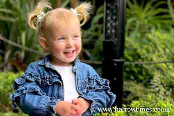 Woman arrested as London girl, 2, killed at Horsley Hale Farm