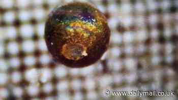 Rival scientists spark row over 'interstellar meteorite' that Harvard physicist announced to world after recovering it from bottom of the Pacific Ocean - and say they're 'very sceptical' that the object came from outside solar system