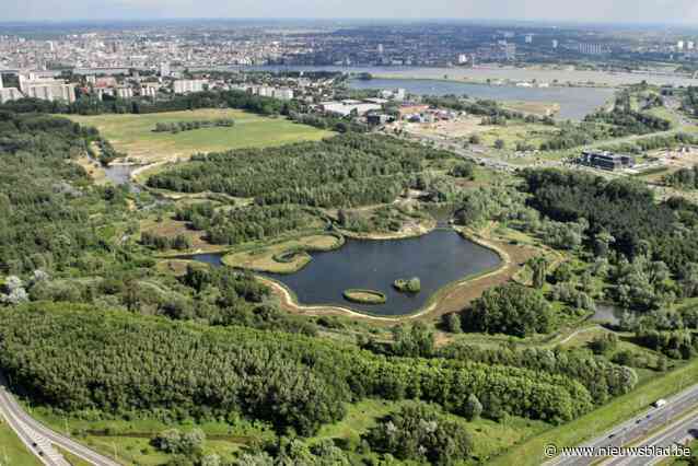 Middenvijver vormt zaterdag decor voor tweede editie van techno- en housefestival Vaag Outdoor