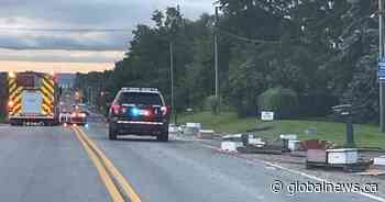 Load of 5 million bees falls off truck in Burlington, police issue warning