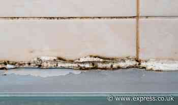 65p household staple removes ‘black spots’ from silicone sealant fast with ‘no scrubbing’