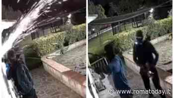 La banda del frullino, l'allarme corre sui social. Sei minuti per entrare e svaligiare la villa