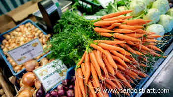 Verbraucherpreise: Inflationsrate in Deutschland sinkt weiter – „Der Weg nach unten ist steinig“