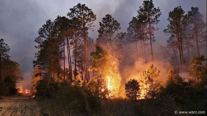 New group of Baton Rouge firefighters takes up shift fighting wildfire in Beauregard Parish