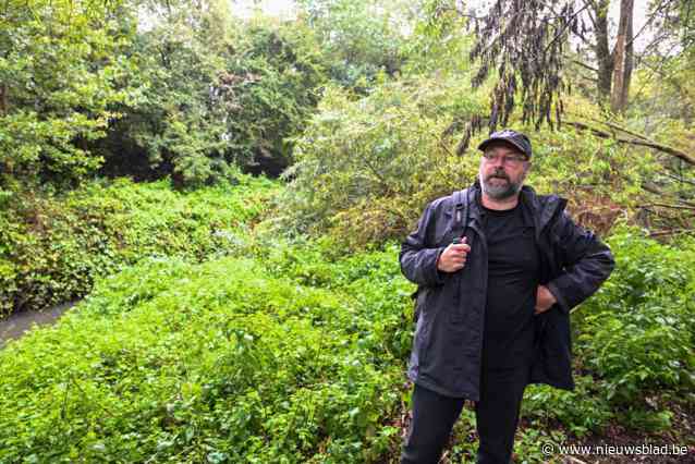 Natuurpunt bezorgd over impact van nieuwe snelweg A102: “Waardevolle natuur in Park Groot Schijn en Ertbrugge dreigt te verdwijnen”