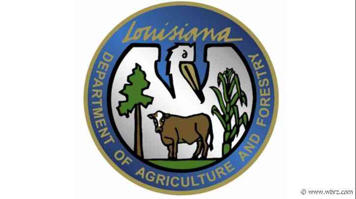 Man arrested for starting large fire during statewide burn ban