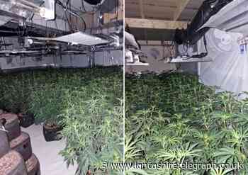 Large amount of cannabis seized in Accrington town centre