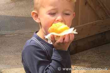 Jurors shown moments leading up to death of Fenham boy who fell under wheels of van