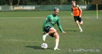 Wille, Biss und Einstellung