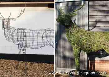 Sadness as beloved deer sculpture stolen from Walton Park