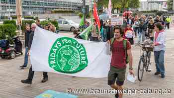 Auch in Wolfsburg wird wieder für das Klima gestreikt