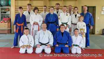 Schulterwurf und Haltegriff: Judoka des Altkreises trainieren