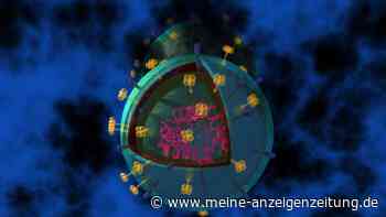 Grippe 2023: Wie Sie sich diese Saison vor Viren schützen können?