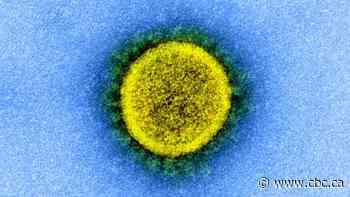 1st Canadian case of highly mutated COVID-19 virus variant BA.2.86 detected in B.C.