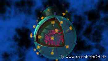 Grippe 2023: Wie Sie sich diese Saison vor Viren schützen können?