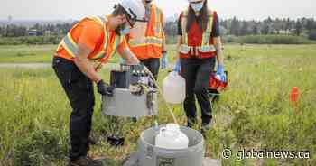 Researchers find opioids, illicit drugs in Alberta wastewater samples