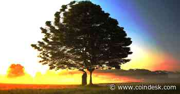 Save a Tree, Use Web3