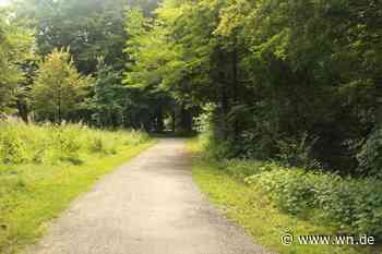 Grünes Licht für Naturerfahrungsraum an der Weseler Straße