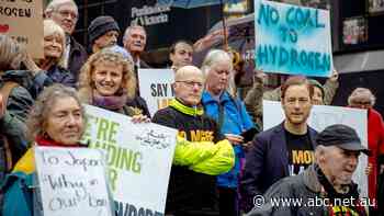 'It has no place in Victoria': Protesters seek end of coal-to-hydrogen project