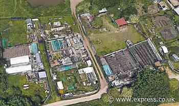 Terrifying moment boy, 11, finds man dead next to allotment as he fetches ball